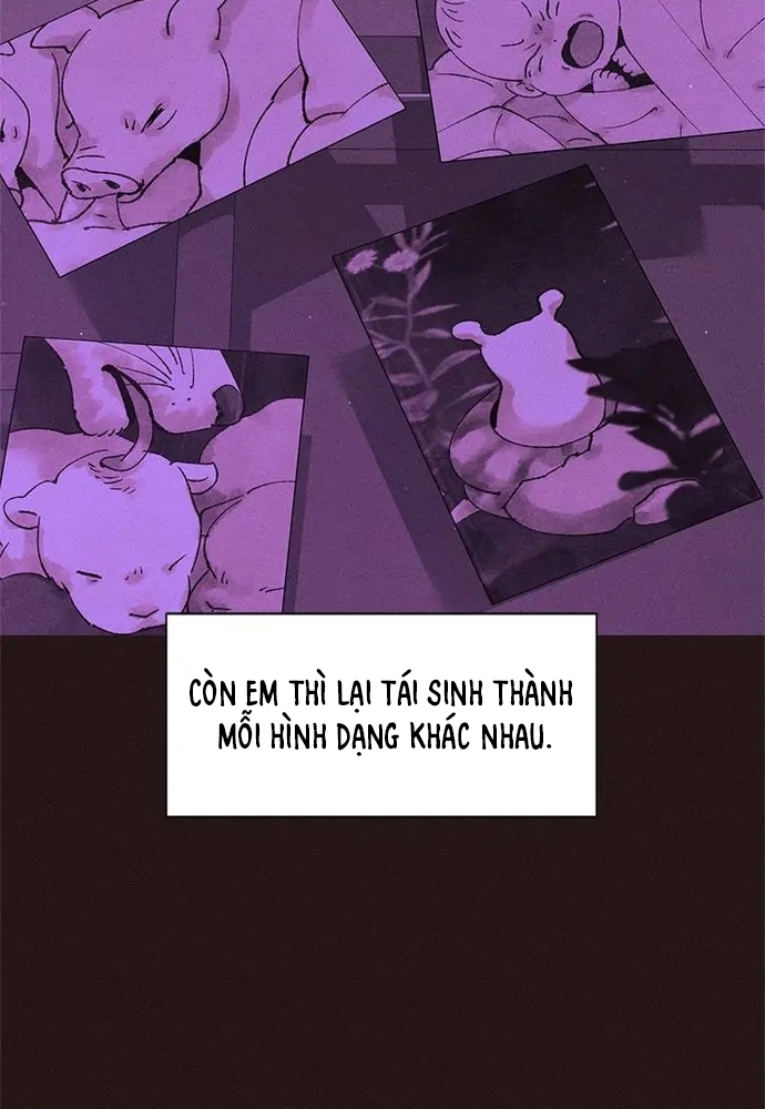 Chương 59 - Trang 35