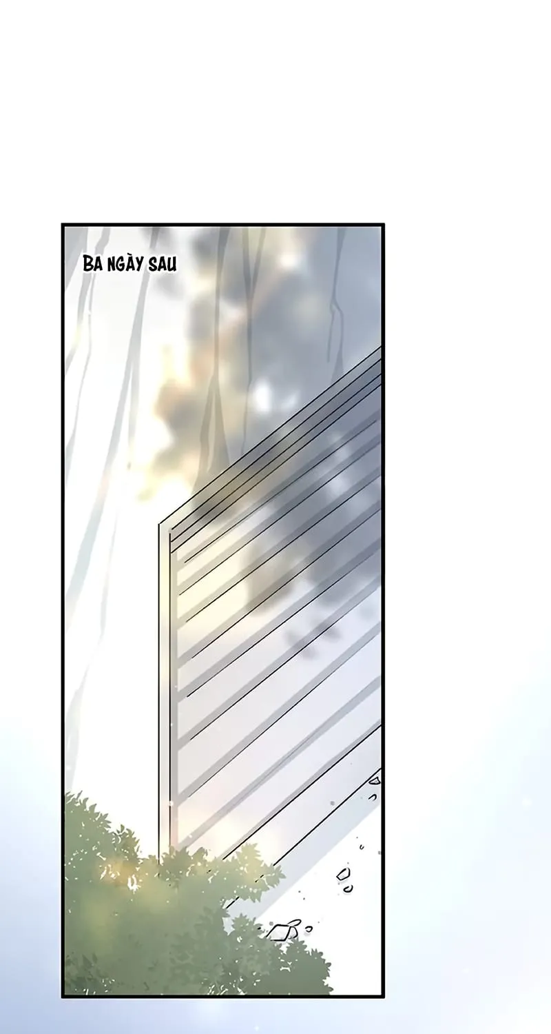Chương 10 - Trang 14
