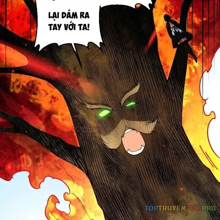Chương 207 - Trang 4