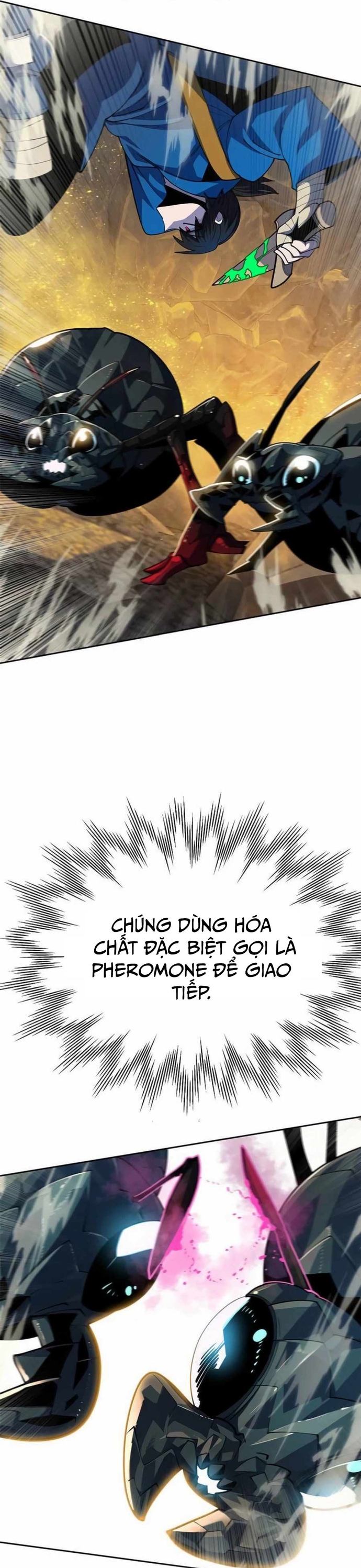 Trang 55