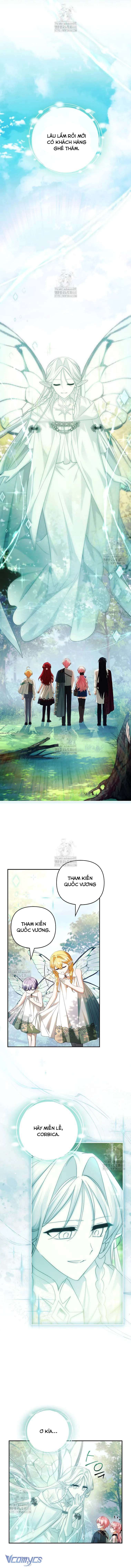 Chapter 126 - Trang 11
