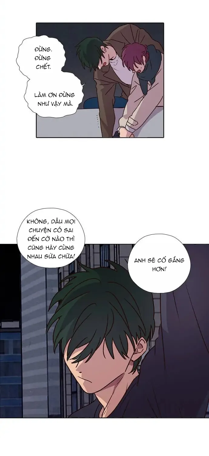 Trang 43