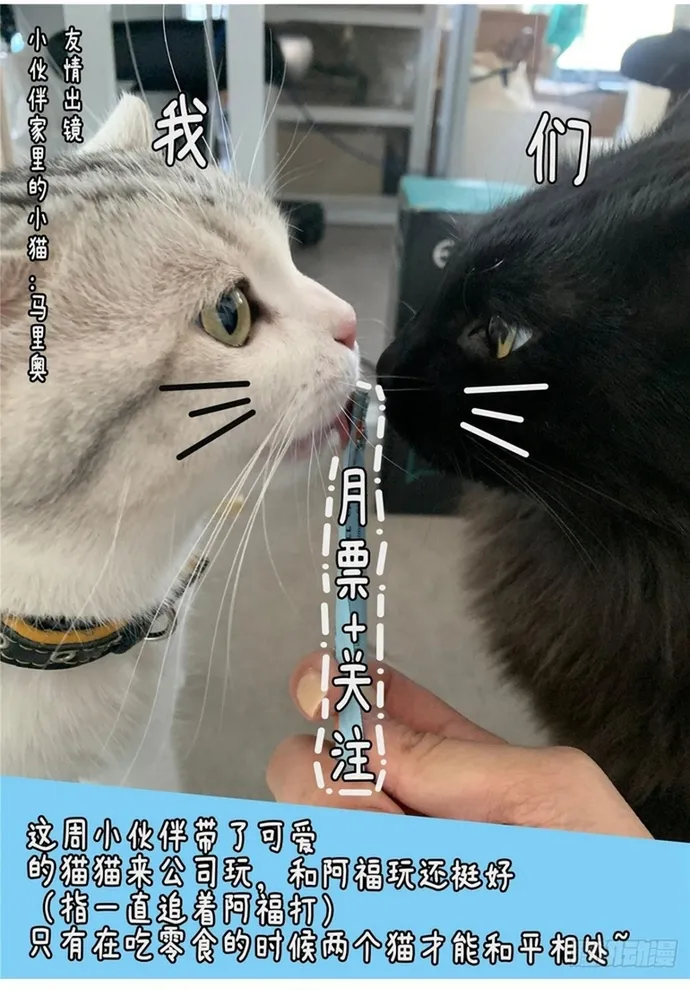 Chương 294 - Trang 17