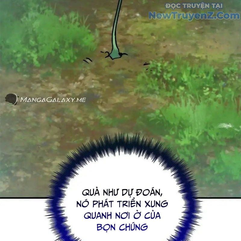 Trang 114