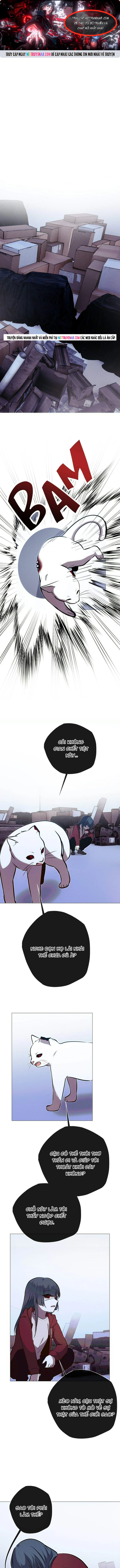 Chương 241 - Trang 1