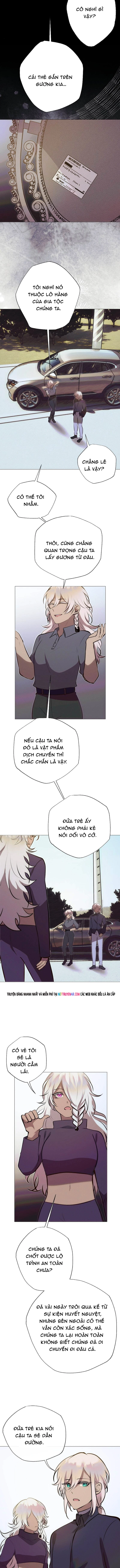 Chương 244 - Trang 8