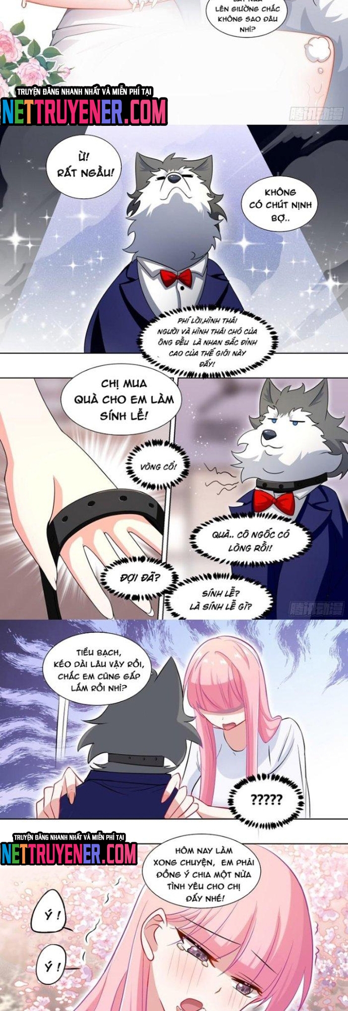 Chương 219 - Trang 3