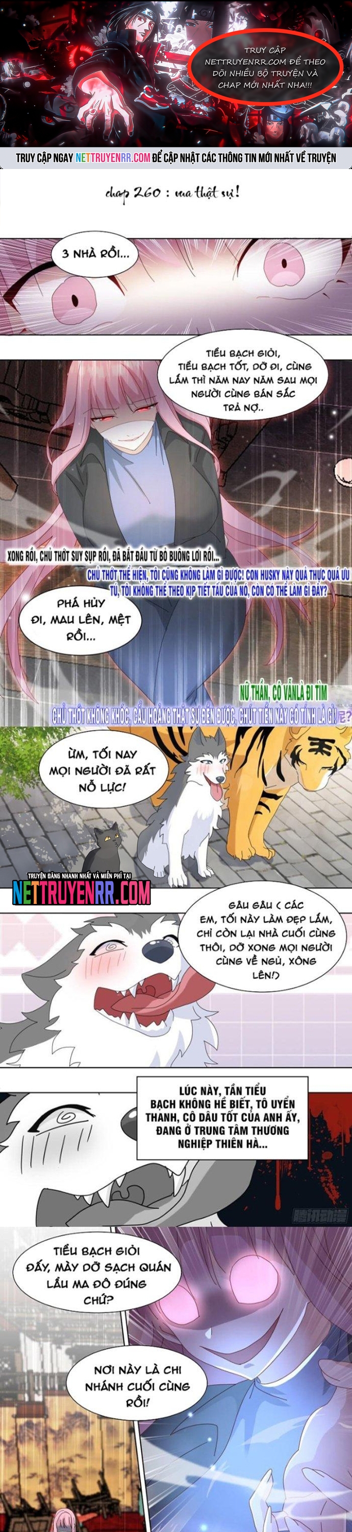 Chương 260 - Trang 1