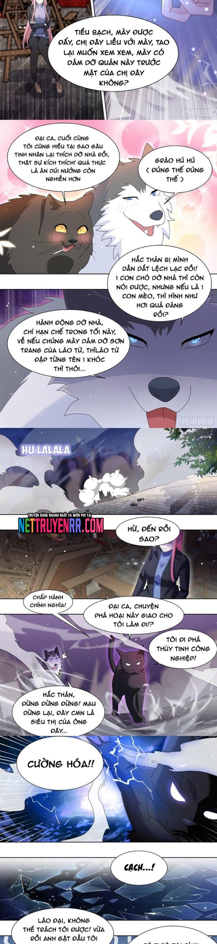 Chương 260 - Trang 2