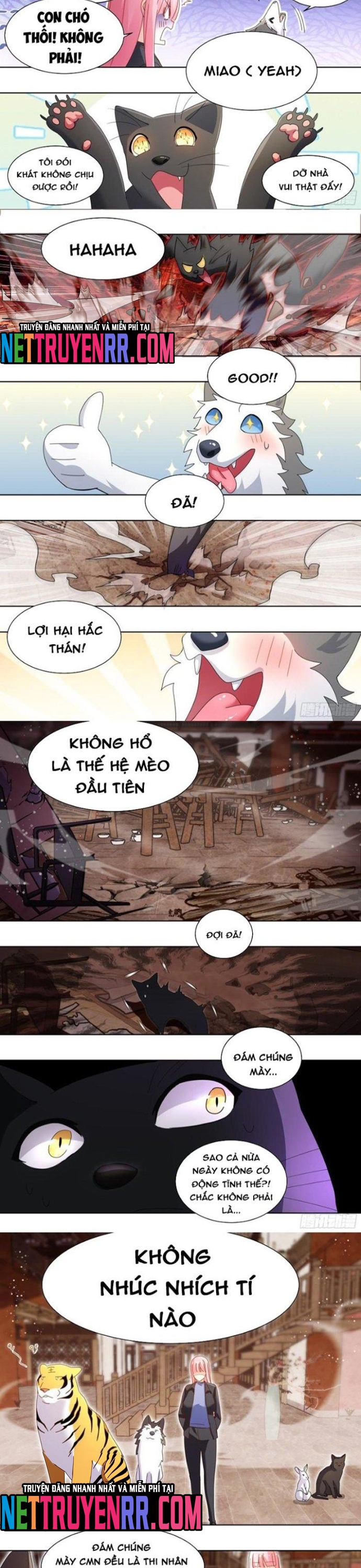 Chương 261 - Trang 2