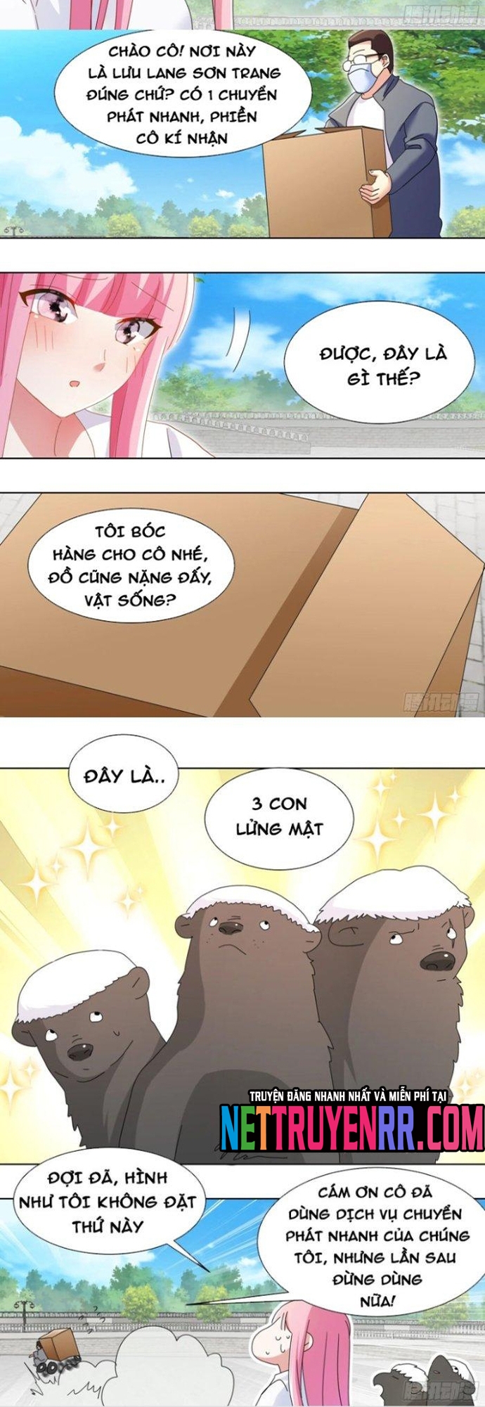 Chương 264 - Trang 5