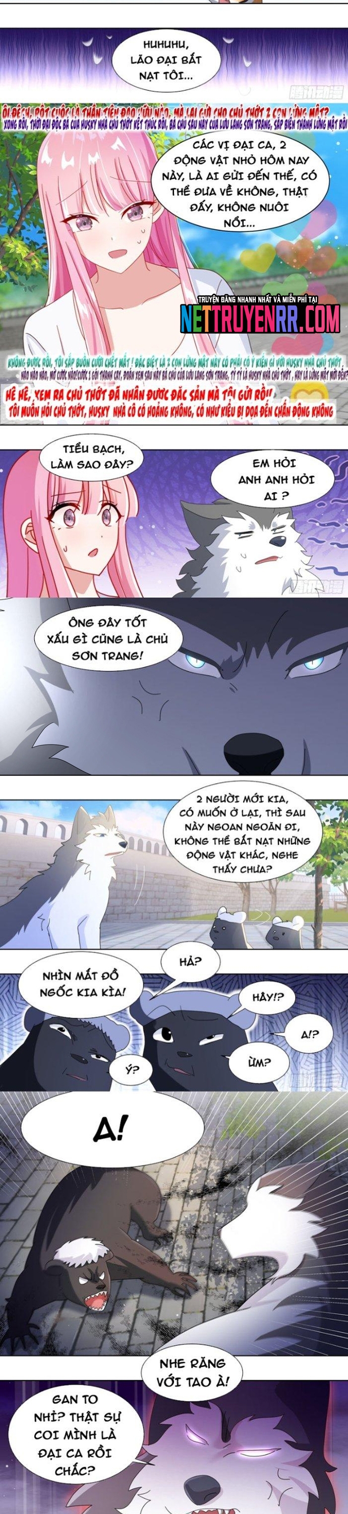 Chương 265 - Trang 3