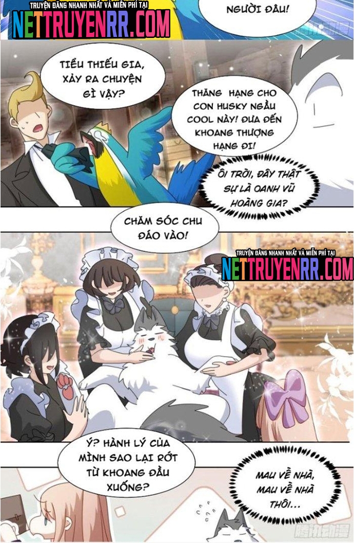Chương 279 - Trang 5