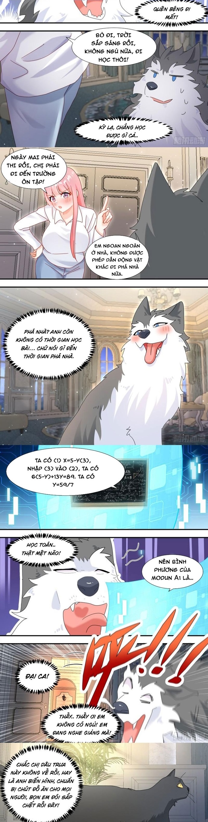 Chương 294 - Trang 2