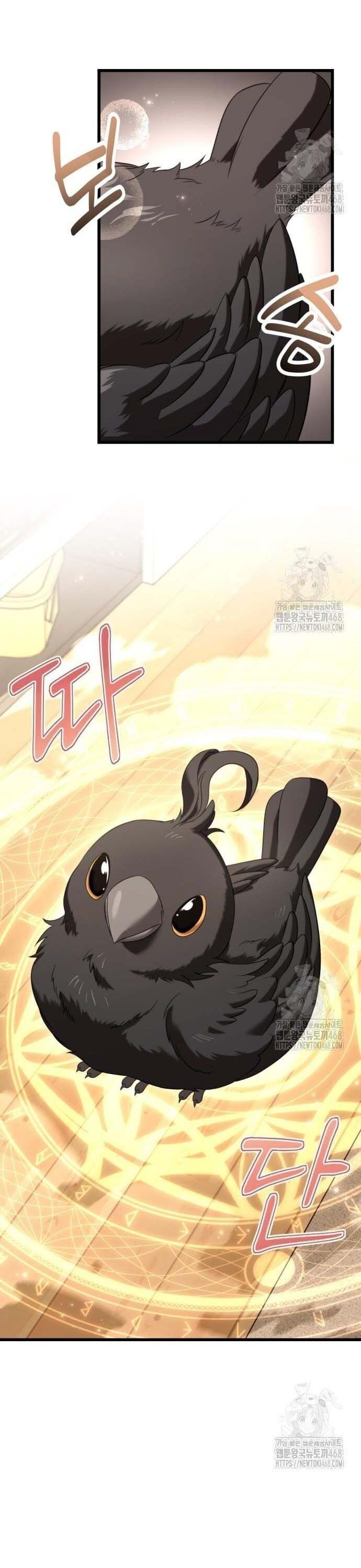 Chapter 27.8 - Trang 41