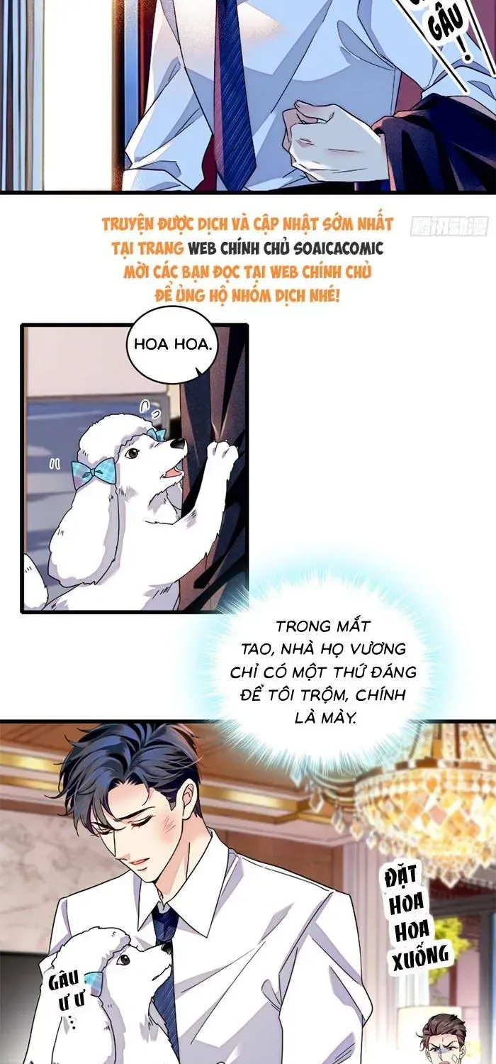 Chapter 19 - Trang 26