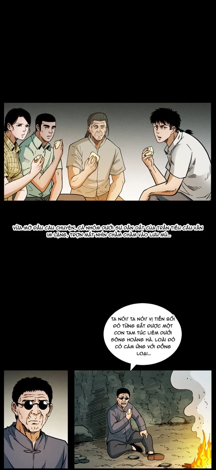 Chương 521 - Trang 13
