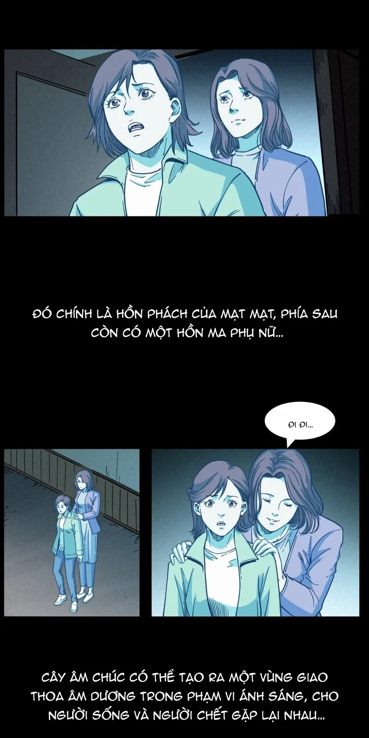 Chương 562 - Trang 13