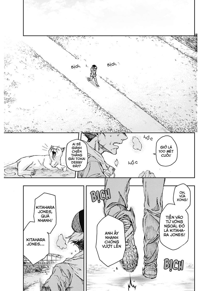 Uma Musume: Cinderella Gray - Chap 1 - Trang 33