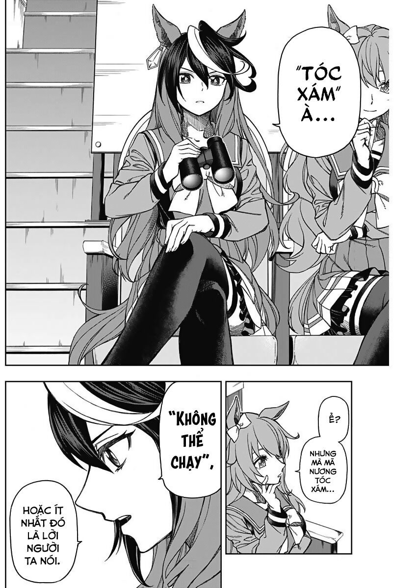 Uma Musume: Cinderella Gray - Chap 10 - Trang 8