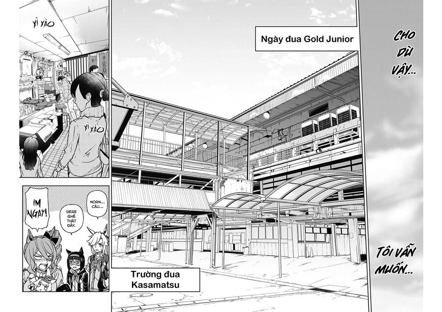 Uma Musume: Cinderella Gray - Chap 13 - Trang 6