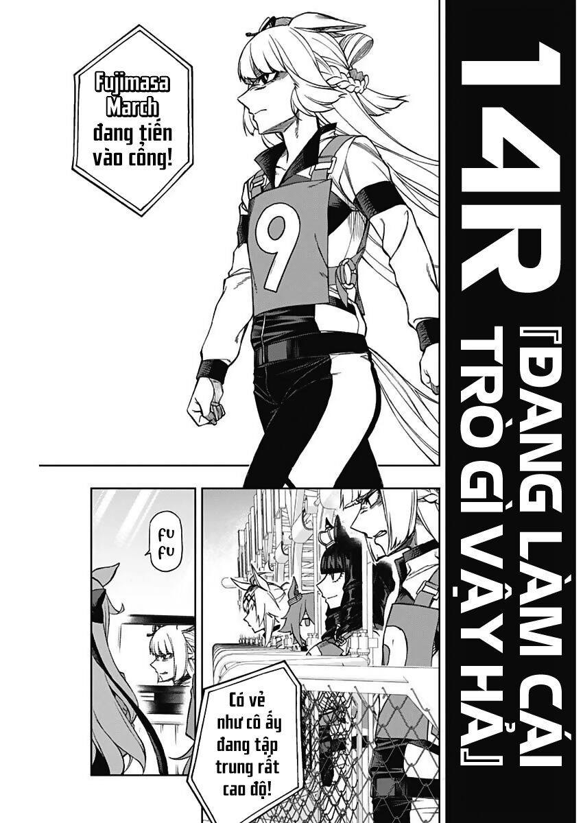 Uma Musume: Cinderella Gray - Chap 14 - Trang 3