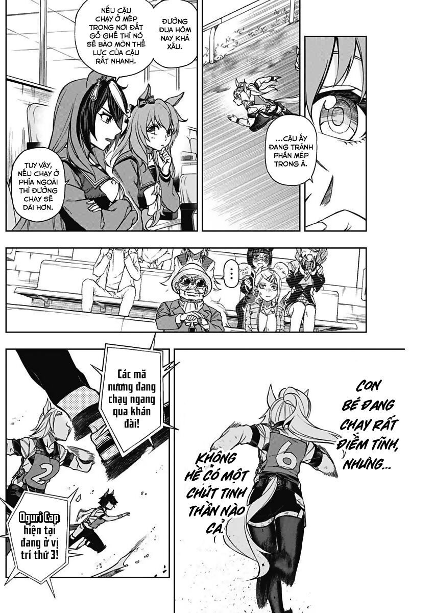Uma Musume: Cinderella Gray - Chap 14 - Trang 8