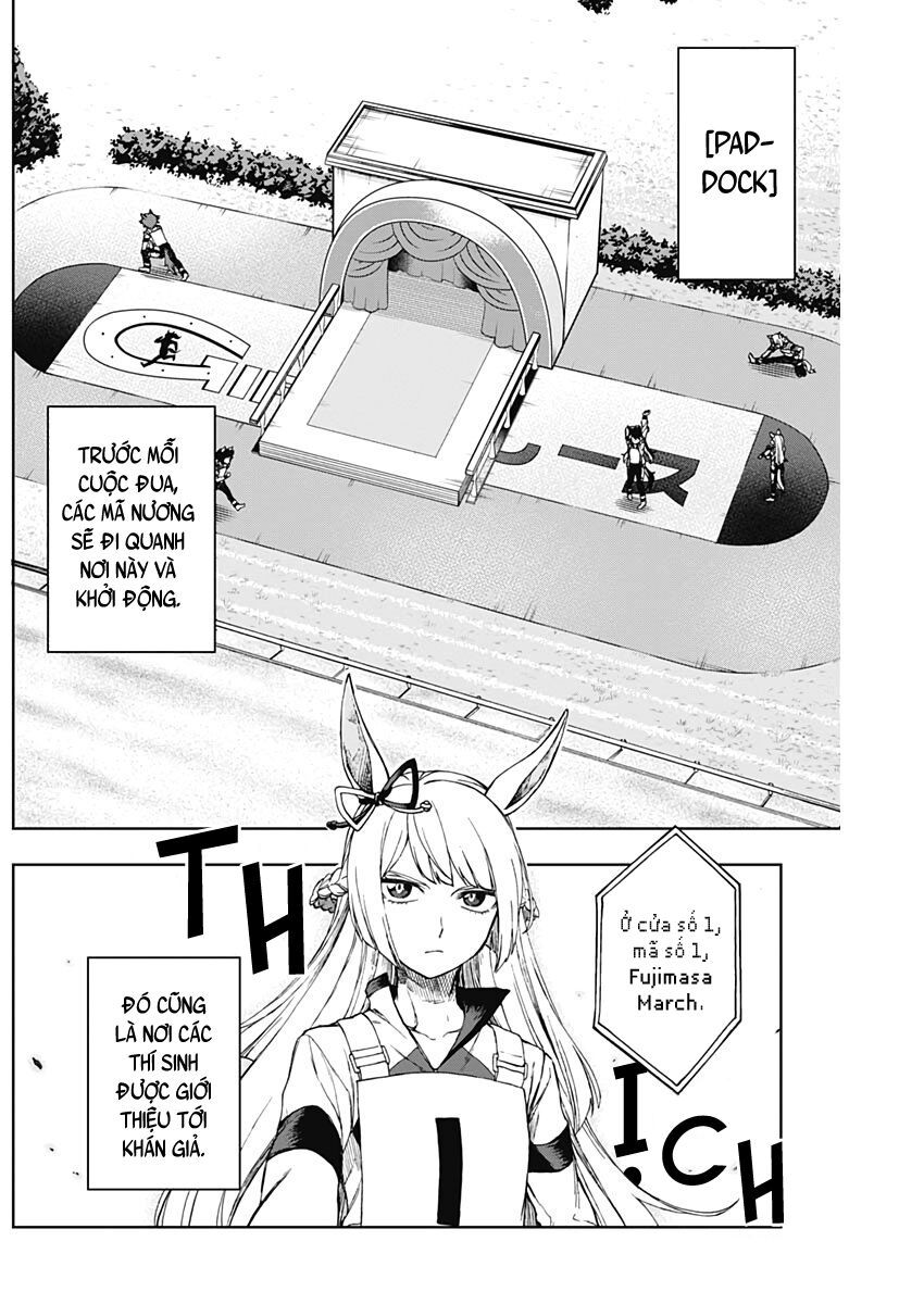 Uma Musume: Cinderella Gray - Chap 2 - Trang 33