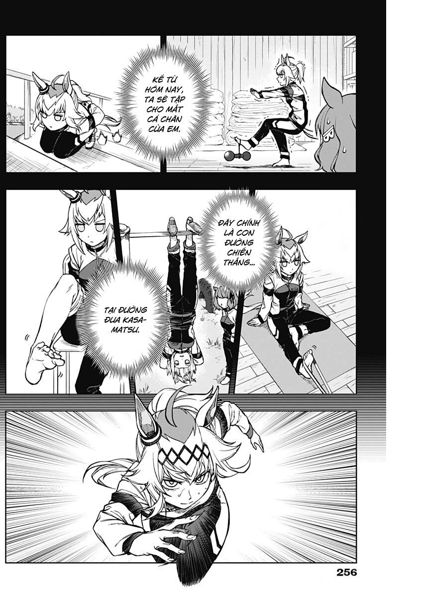 Uma Musume: Cinderella Gray - Chap 3 - Trang 11