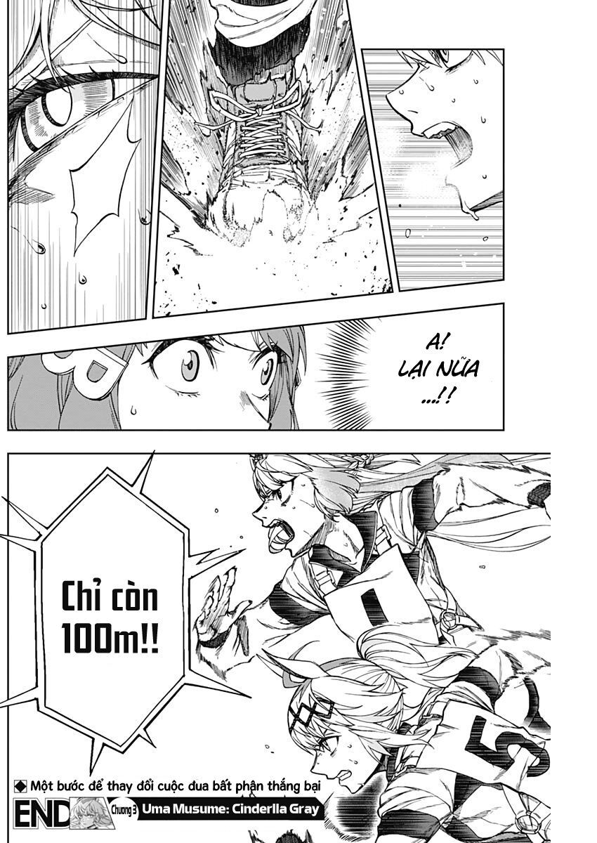 Uma Musume: Cinderella Gray - Chap 3 - Trang 19