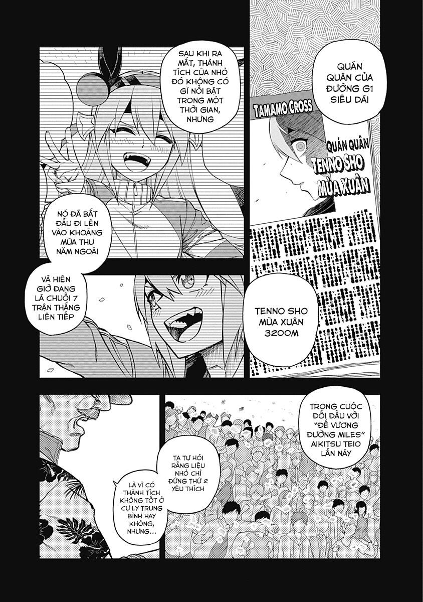 Uma Musume: Cinderella Gray - Chap 30 - Trang 6