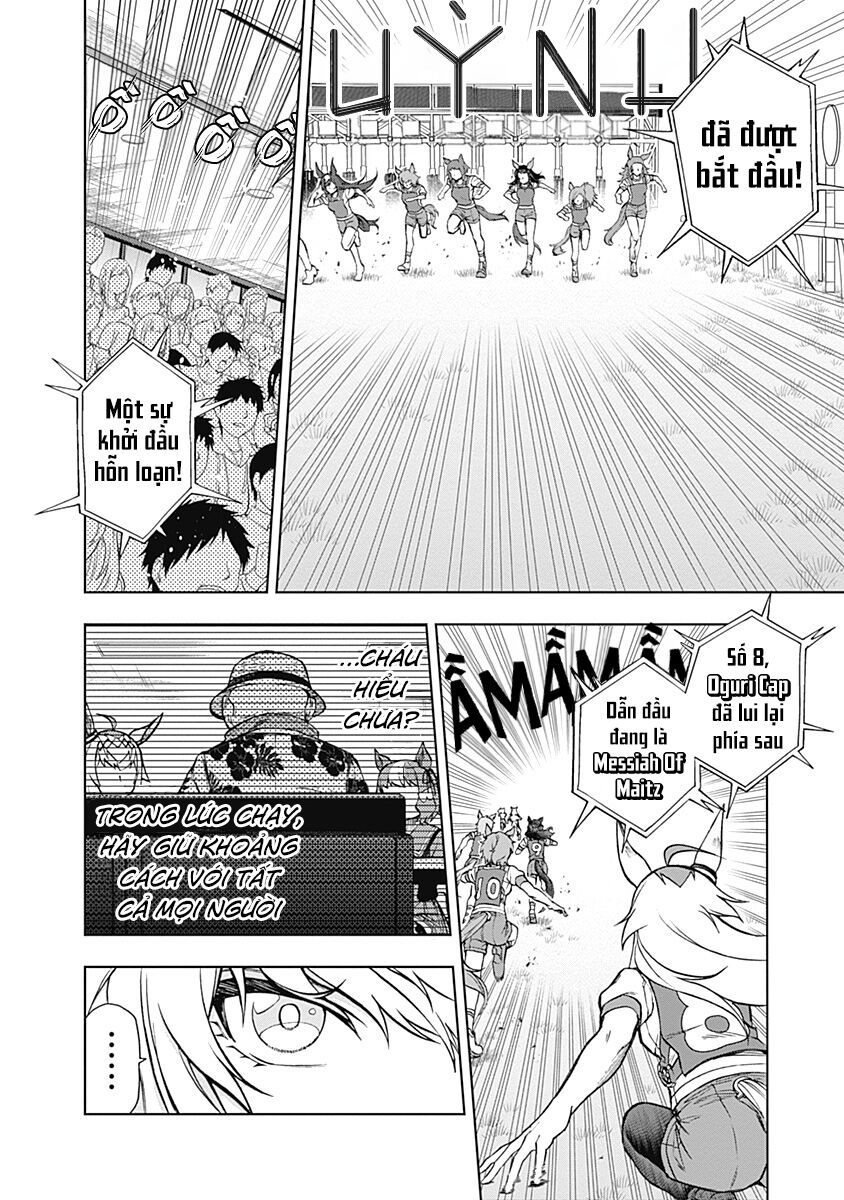 Uma Musume: Cinderella Gray - Chap 33 - Trang 3