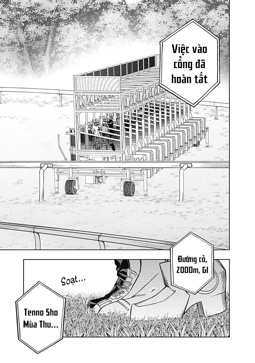 Uma Musume: Cinderella Gray - Chap 37 - Trang 9