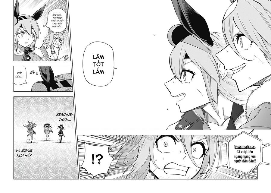 Uma Musume: Cinderella Gray - Chap 39 - Trang 12