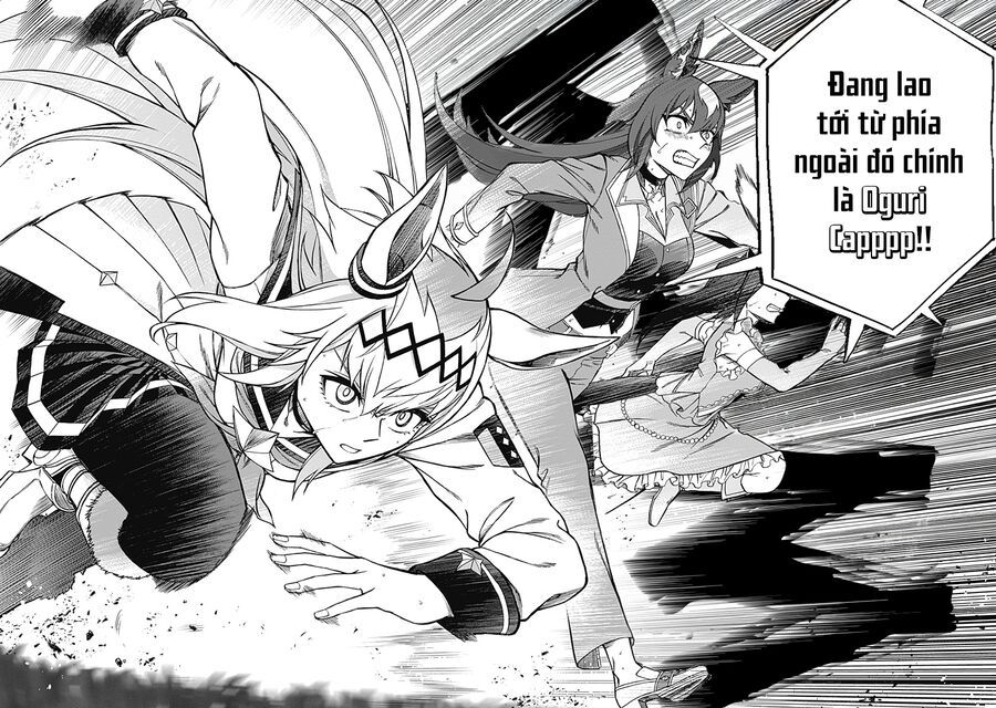Uma Musume: Cinderella Gray - Chap 39 - Trang 17