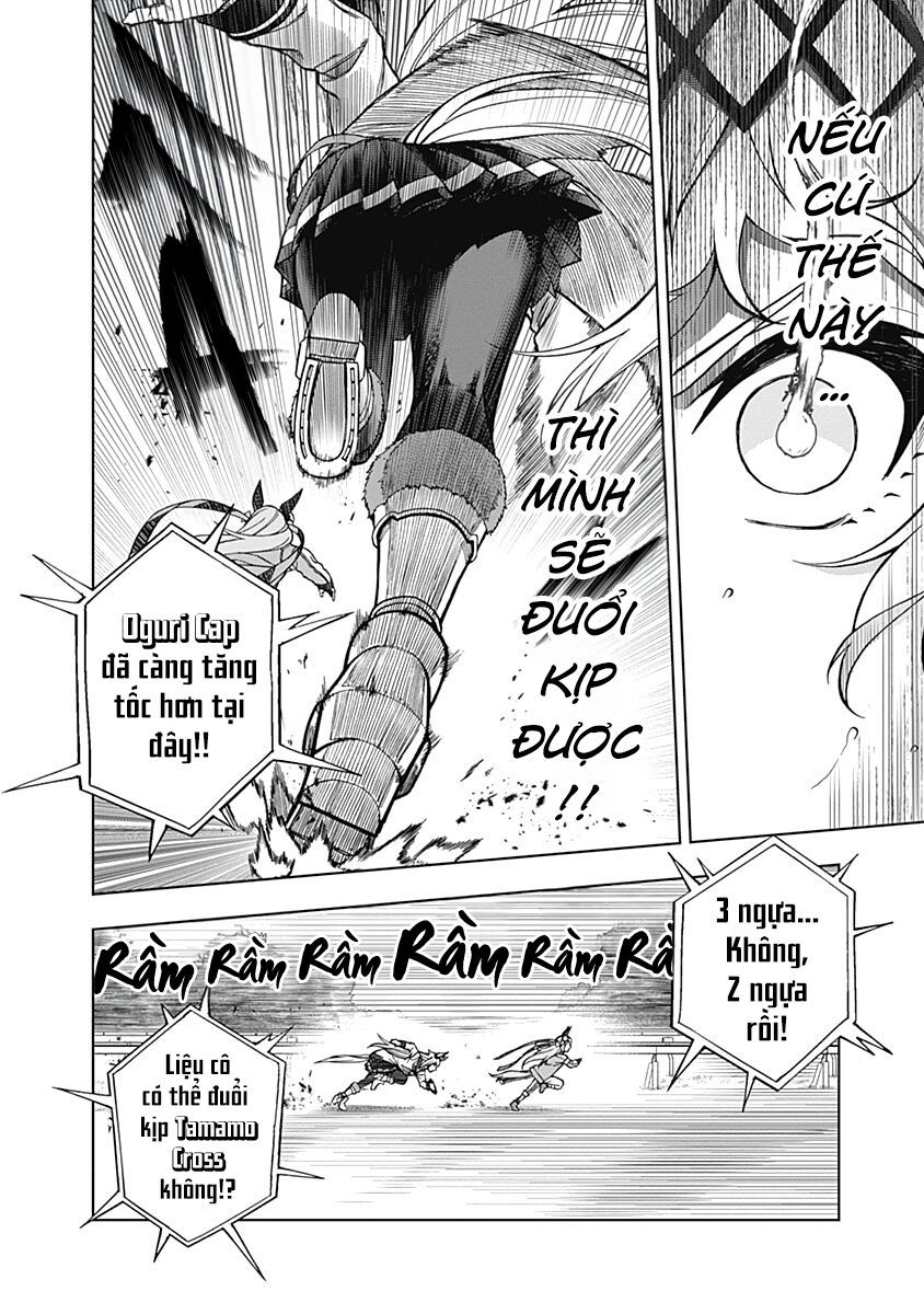 Uma Musume: Cinderella Gray - Chap 41 - Trang 3