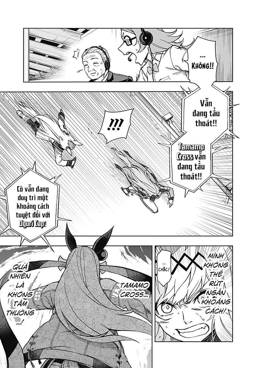 Uma Musume: Cinderella Gray - Chap 41 - Trang 4