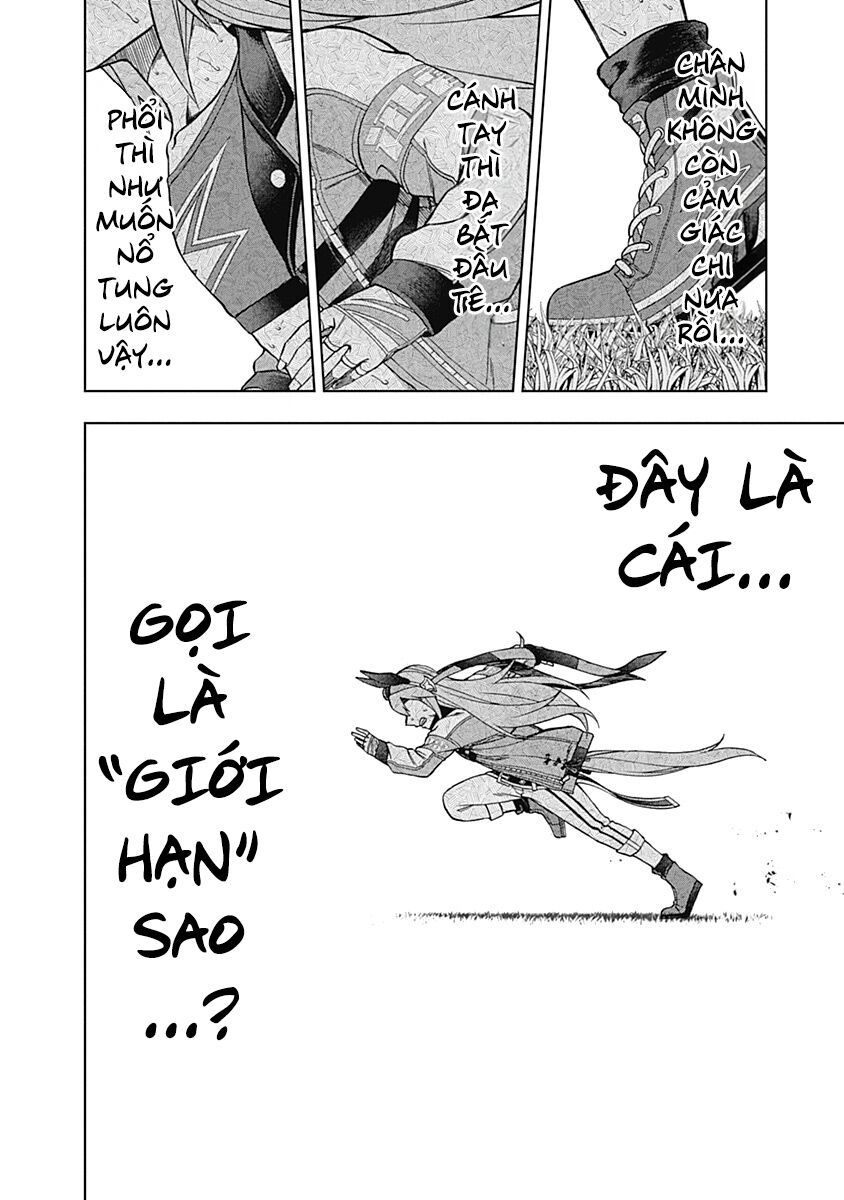 Uma Musume: Cinderella Gray - Chap 41 - Trang 9