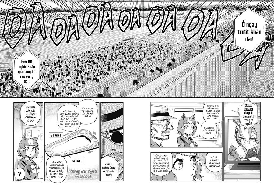 Uma Musume: Cinderella Gray - Chap 46 - Trang 5