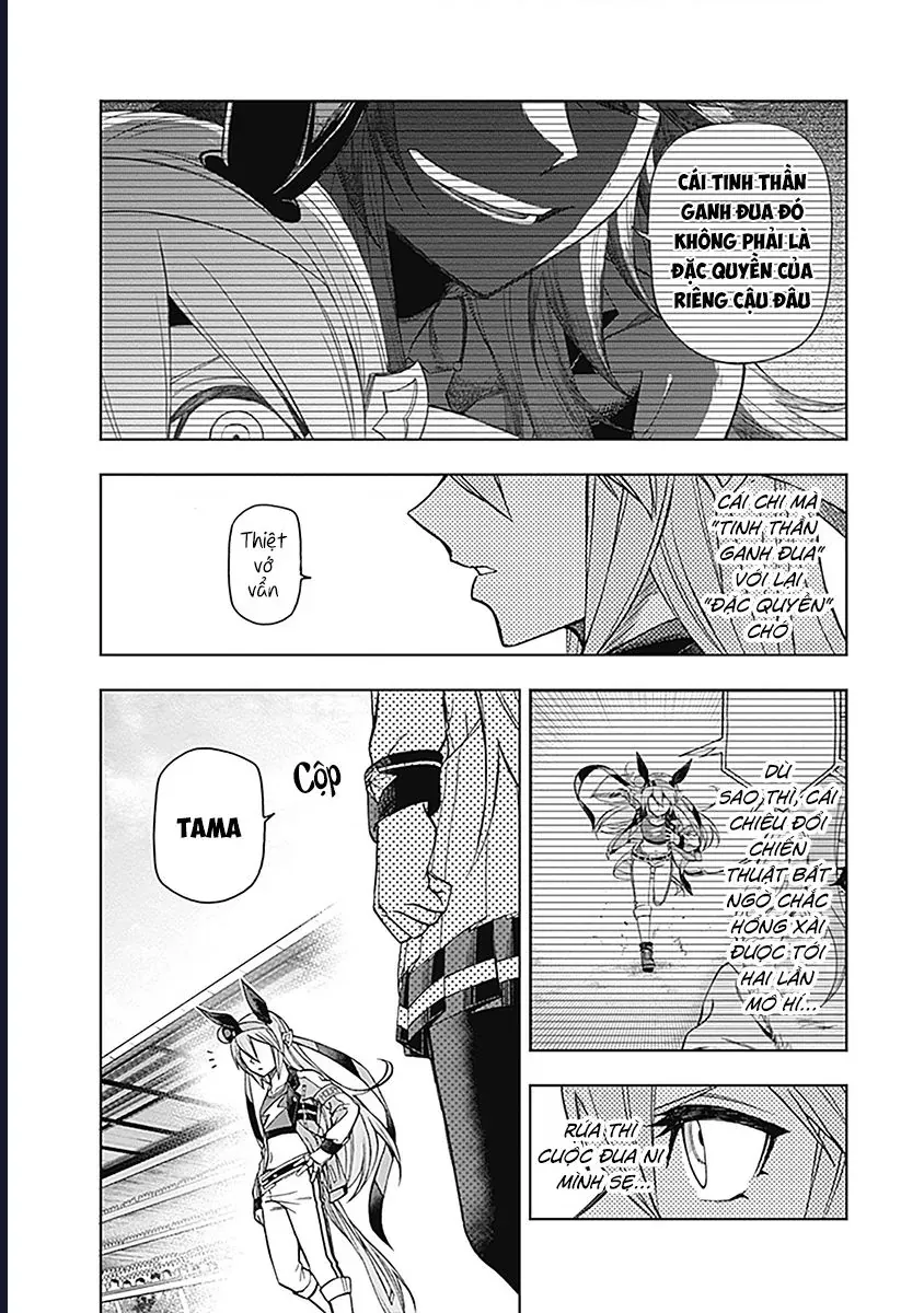 Uma Musume: Cinderella Gray - Chap 52 - Trang 3