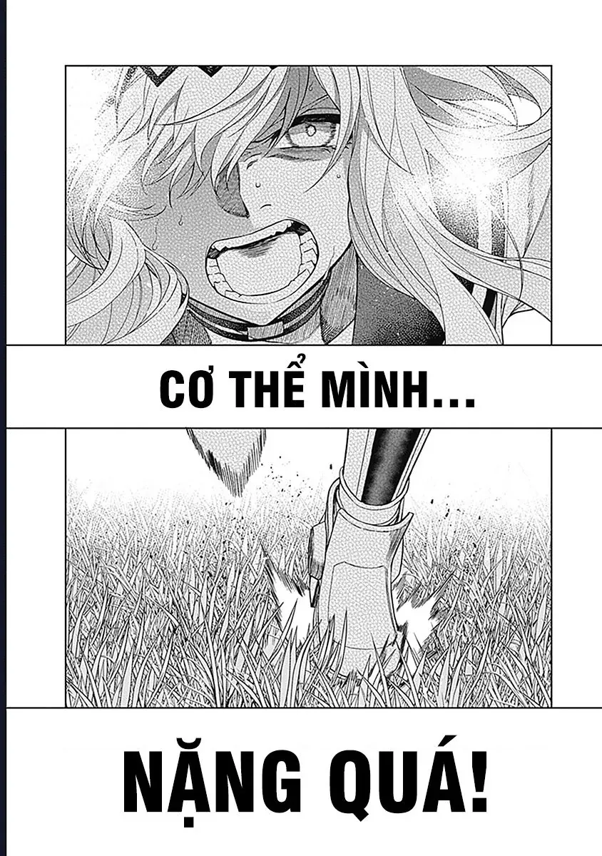 Uma Musume: Cinderella Gray - Chap 54 - Trang 3