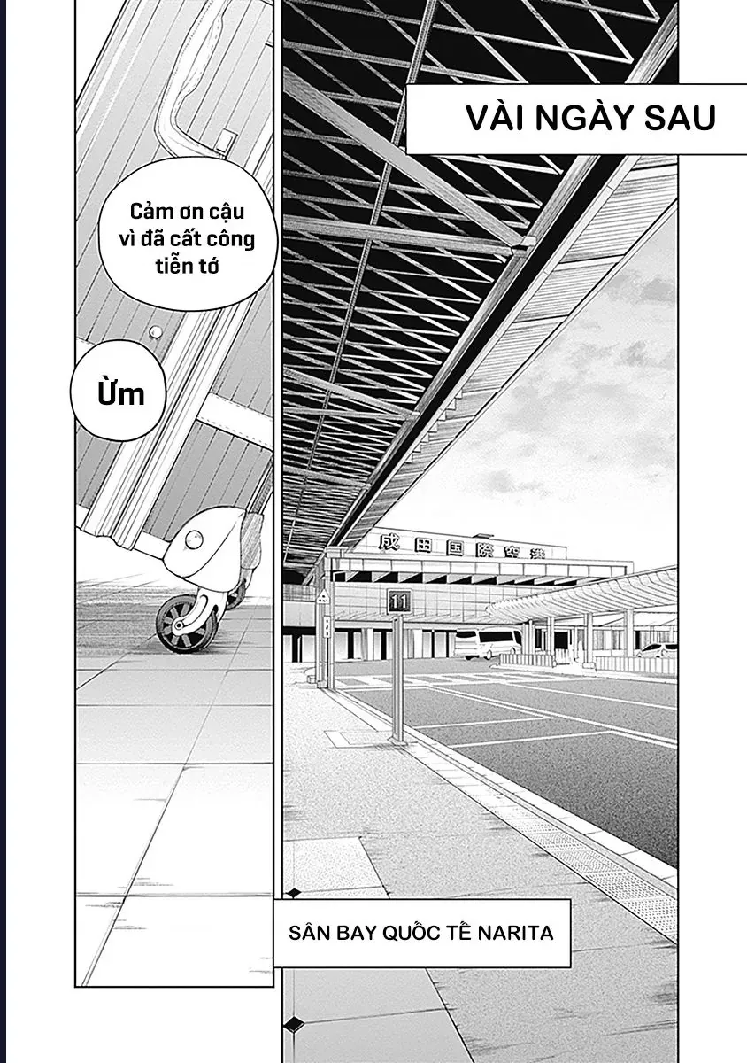 Uma Musume: Cinderella Gray - Chap 59 - Trang 8