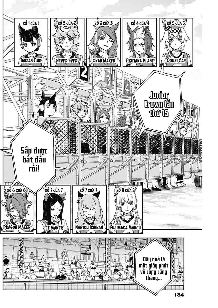 Uma Musume: Cinderella Gray - Chap 8 - Trang 2