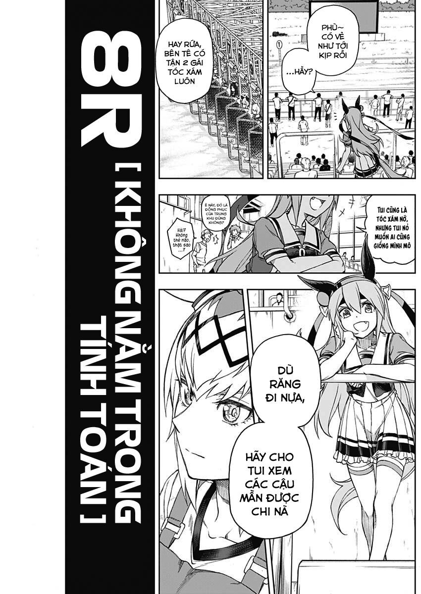 Uma Musume: Cinderella Gray - Chap 8 - Trang 3