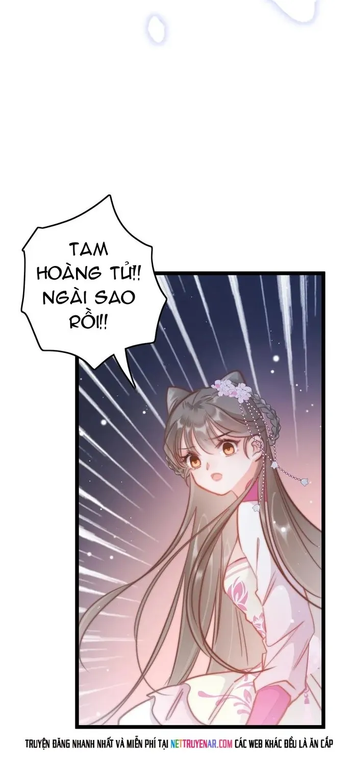 Trang 46