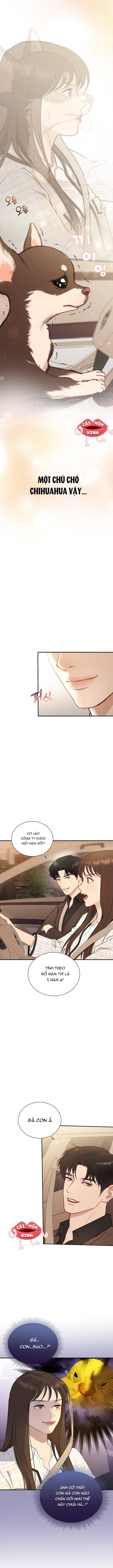 Chương 2 - Trang 11