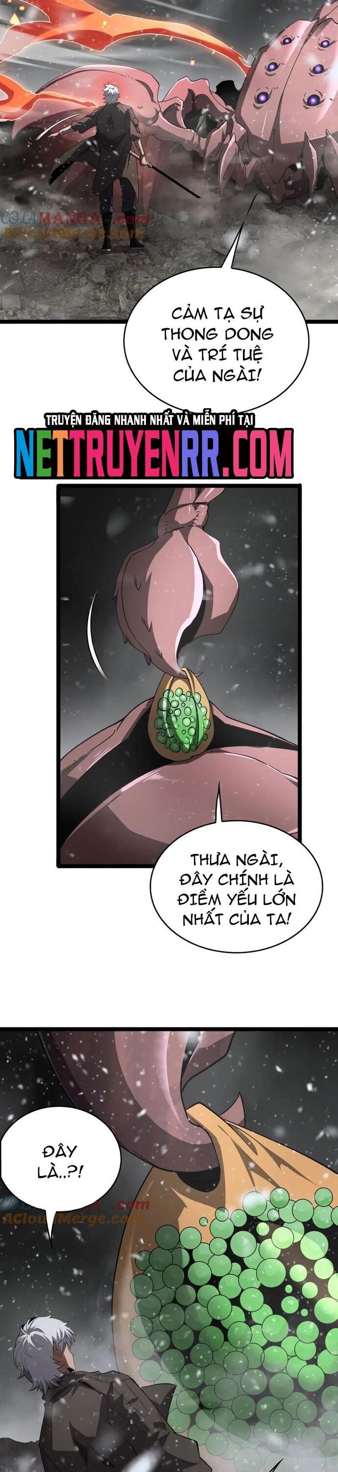Trang 19