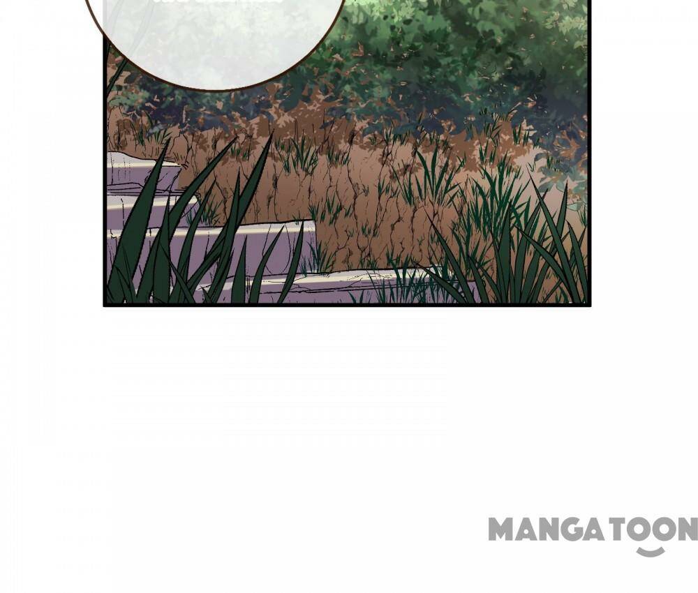 Chương 356 - Trang 24