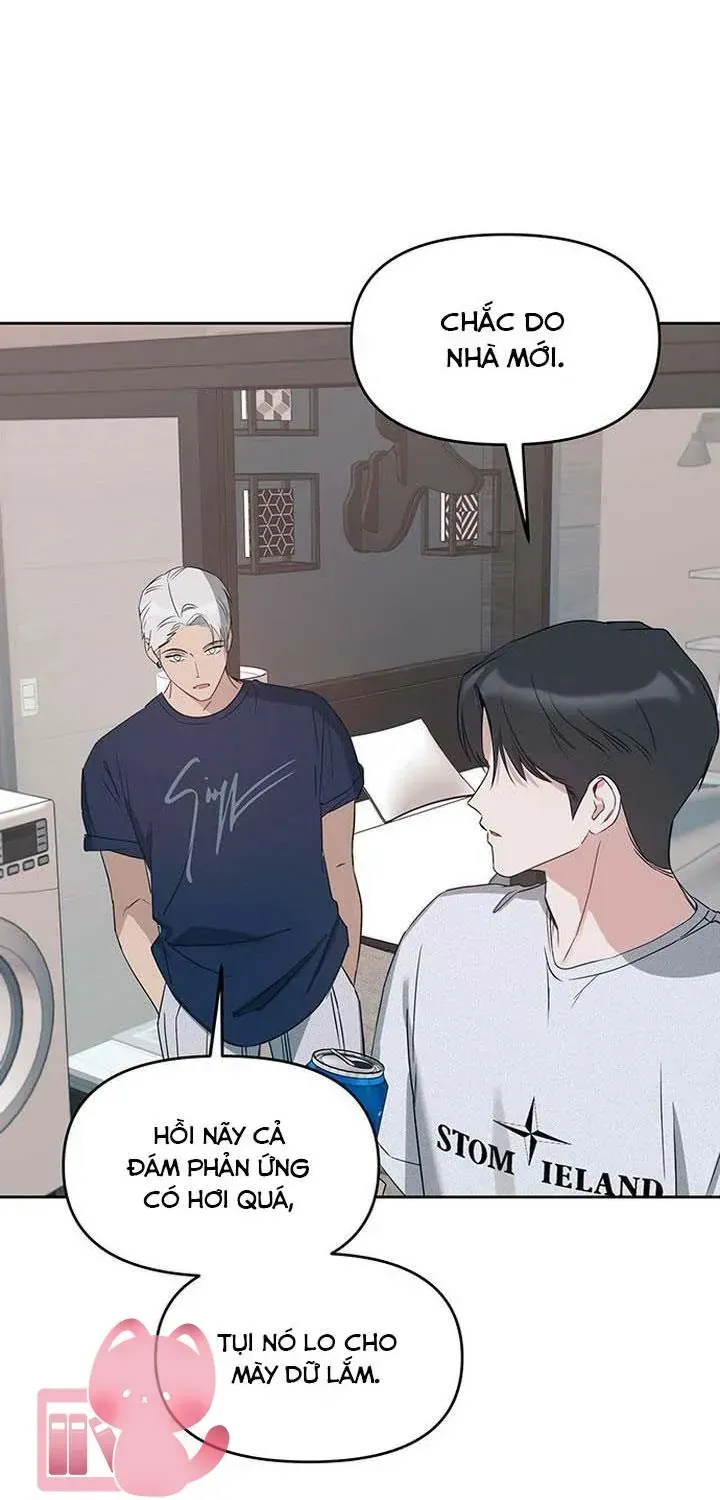 Chapter 80 - Trang 61