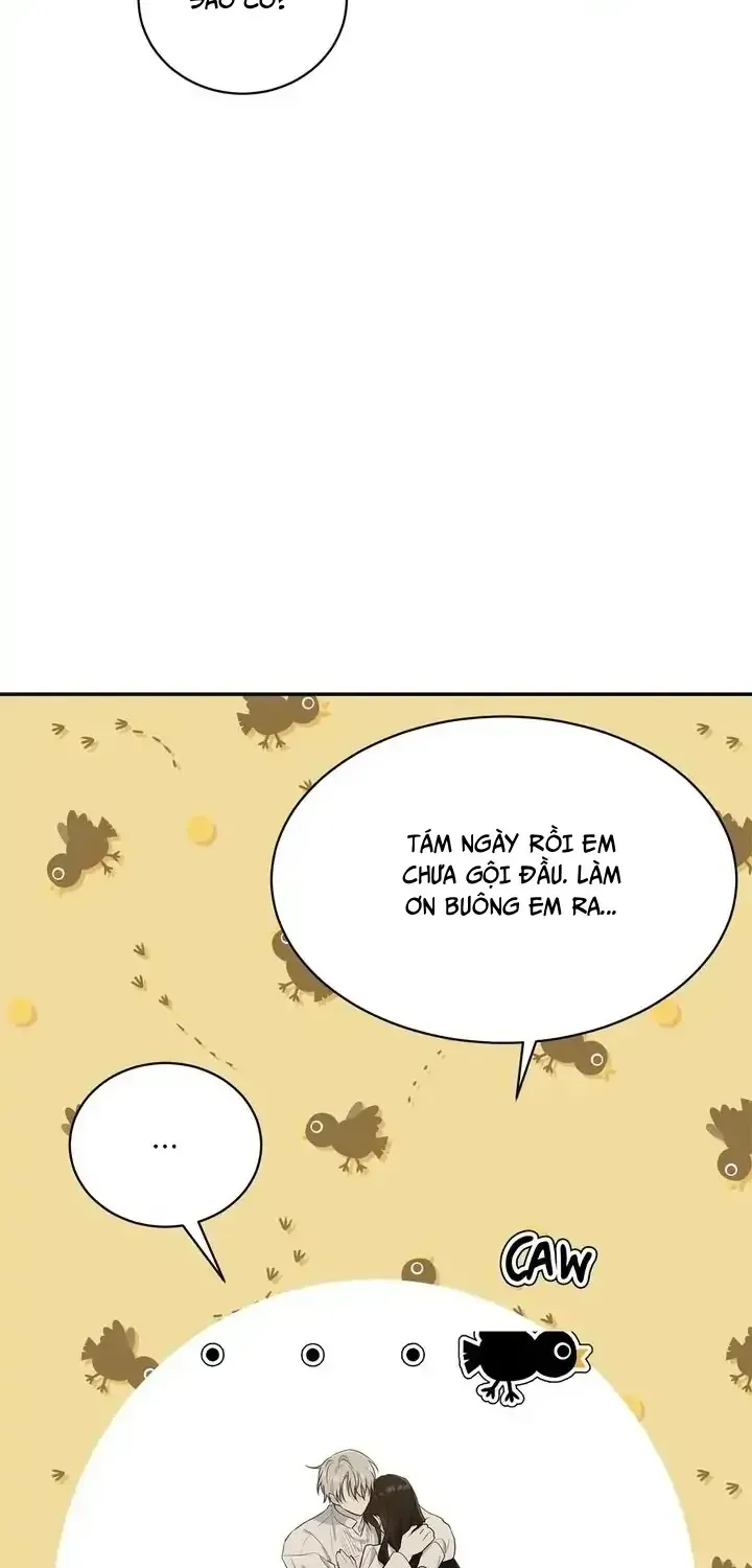 Trang 53